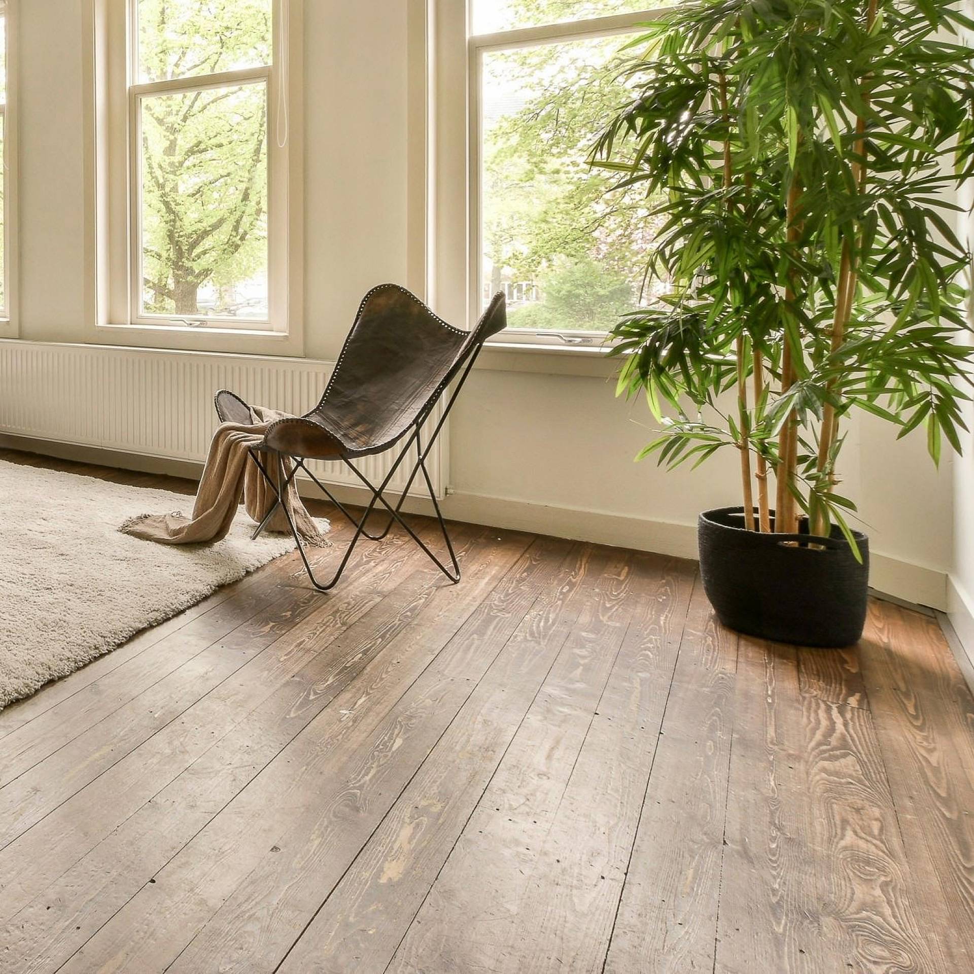 Wohnraum mit dunklen Holzdielen, Sessel und großer Zimmerpflanze