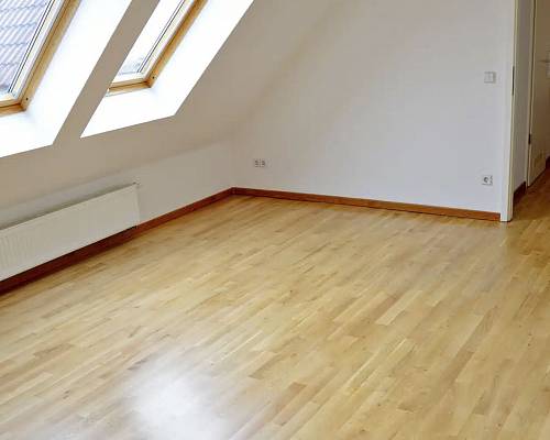 Weitläufiges Zimmer mit natürlicher Eichenstruktur und Dachfenster.