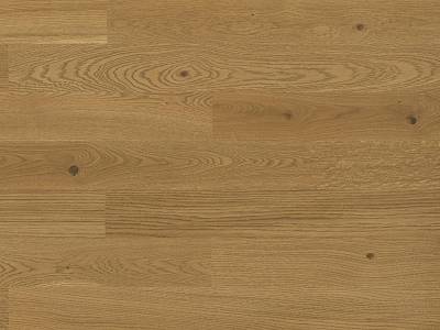 Cleverpark 900 | Eiche | Caramello