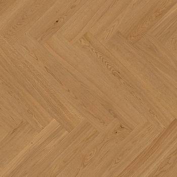 Vectorpark | Eiche | Natur