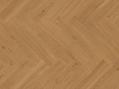 Vectorpark | Eiche | Natur