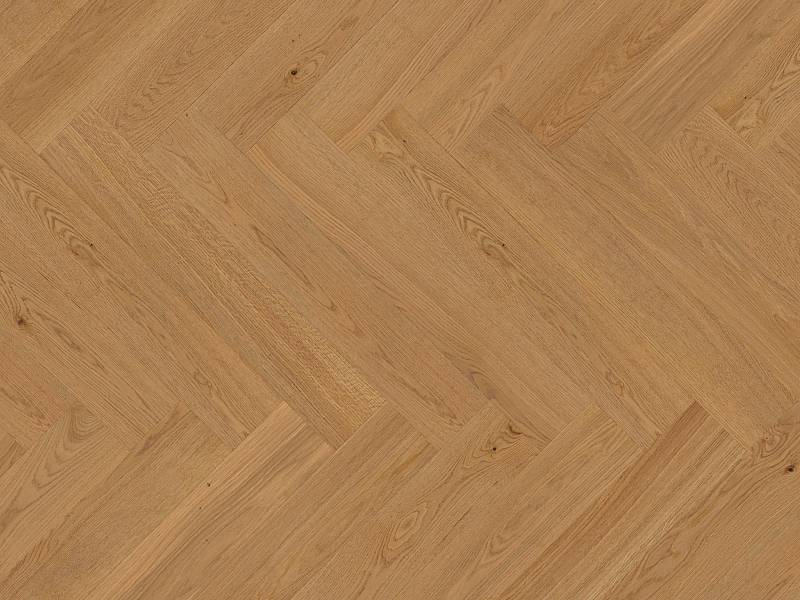 Vectorpark | Eiche | Natur