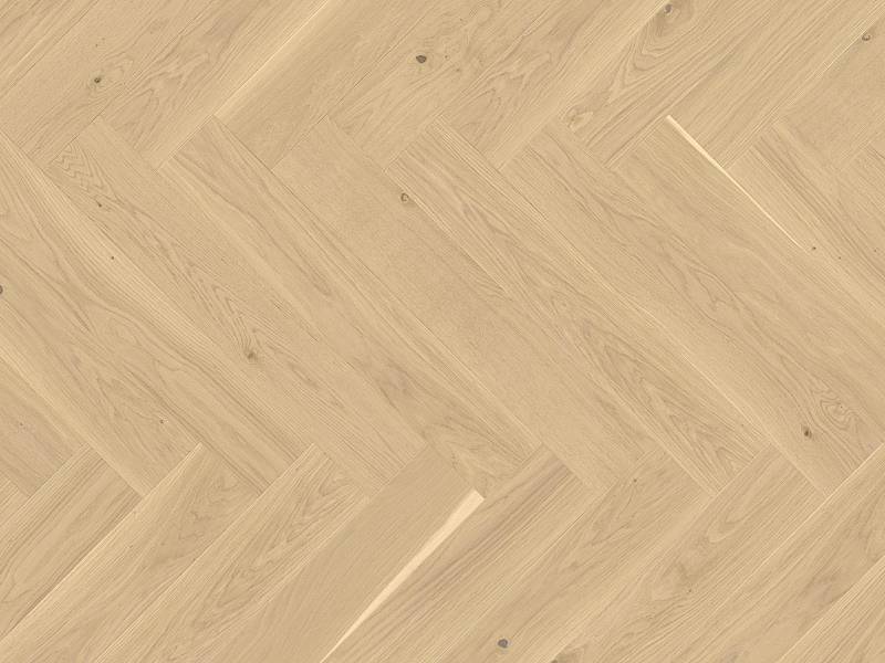 Vectorpark | Eiche | Farina