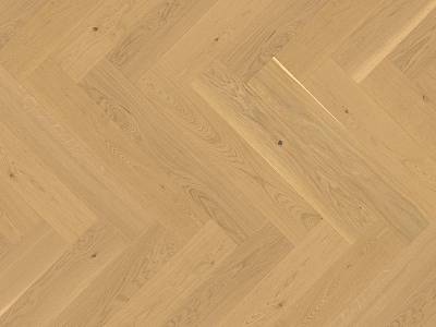 Vectorpark | Eiche | Avorio