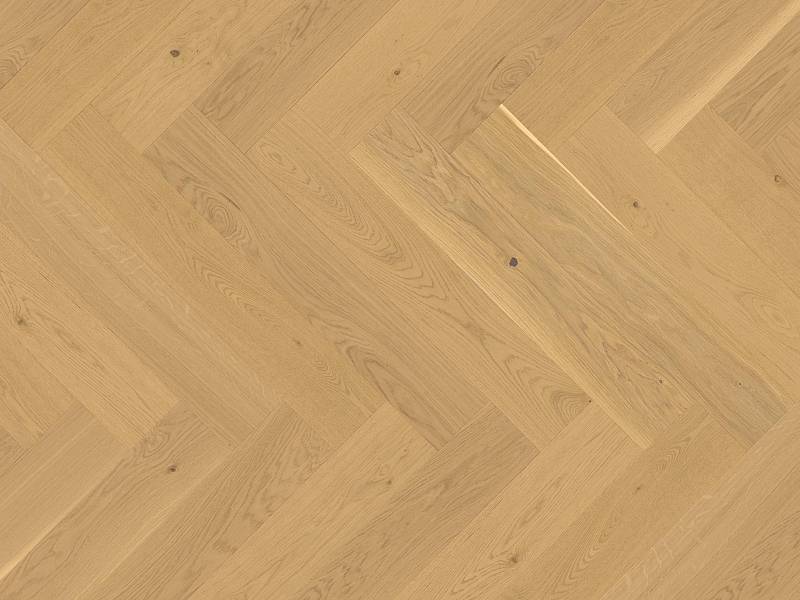 Vectorpark | Eiche | Avorio