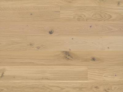 Studiopark | Eiche | Crema