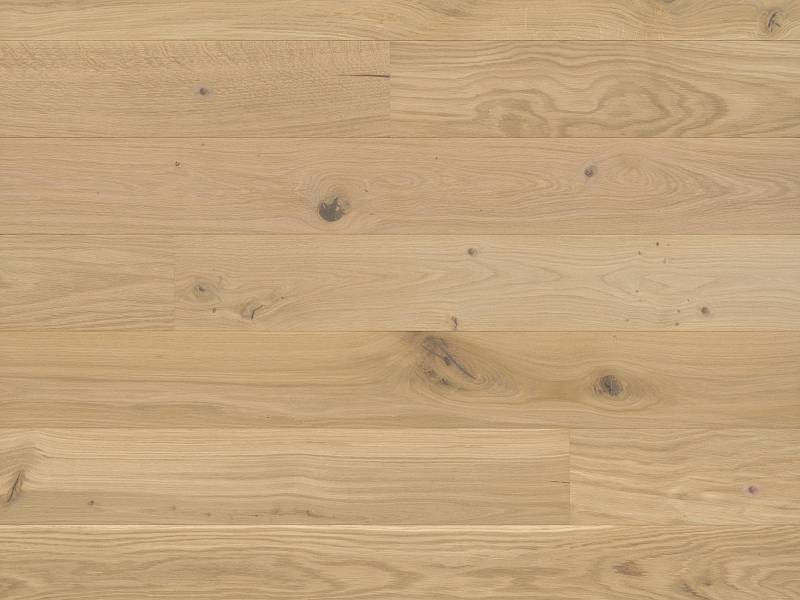 Studiopark | Eiche | Crema