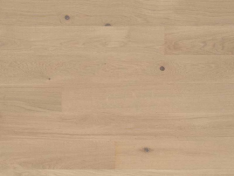 Studiopark | Eiche | Avorio