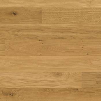 Studiopark | Eiche | Natur