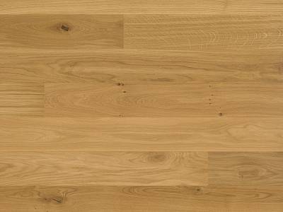 Studiopark | Eiche | Natur