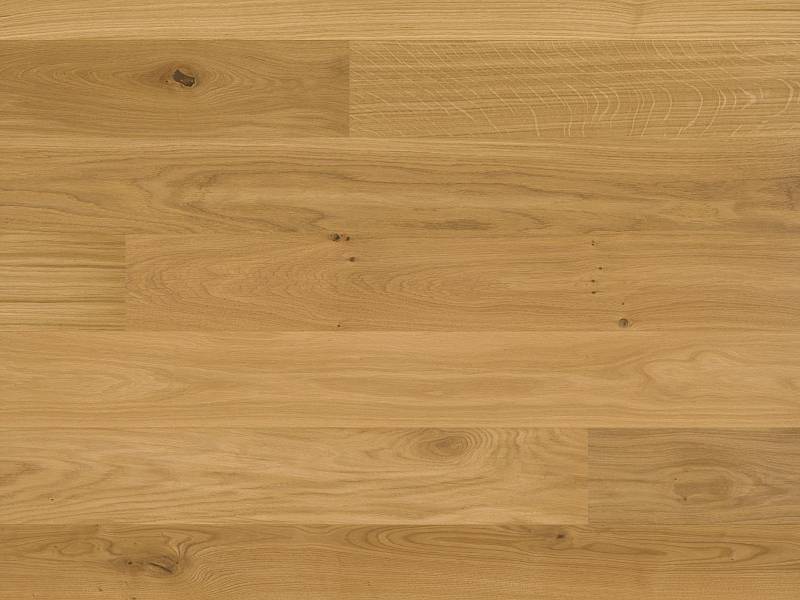 Studiopark | Eiche | Natur