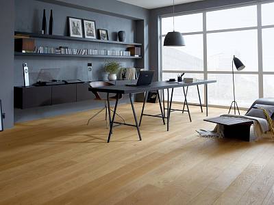 Studiopark | Eiche | Natur