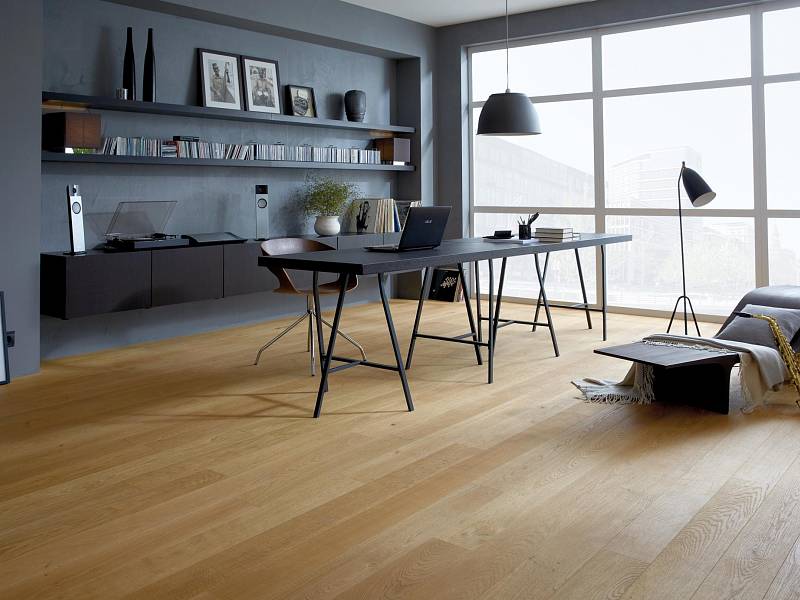 Studiopark | Eiche | Natur