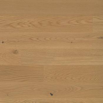 Studiopark | Eiche | Mandorla