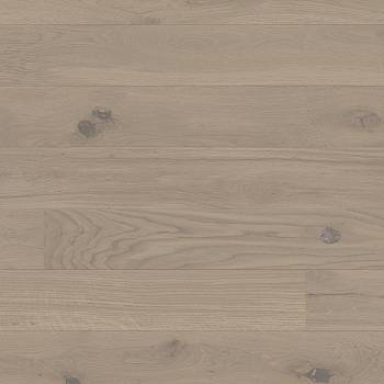 Studiopark | Eiche | Sasso